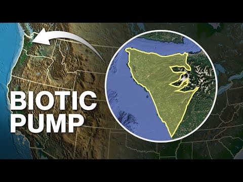 Lose This, And We’re Doomed!