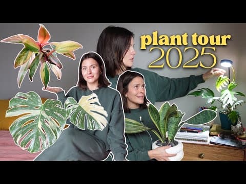 My Houseplant Collection Walktrhough 2025 | Every Plant In My Home!