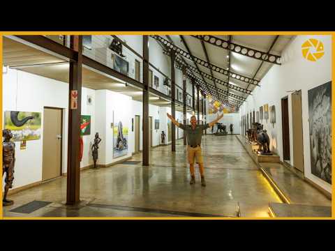 Our New Wildlife Photography Gallery Revealed!!