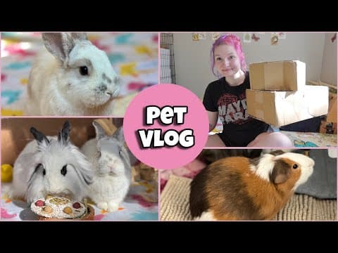 Pet Vlog 🌷💕| Happy Bunny Unboxing, Cleaning & Decorating 🐾 |