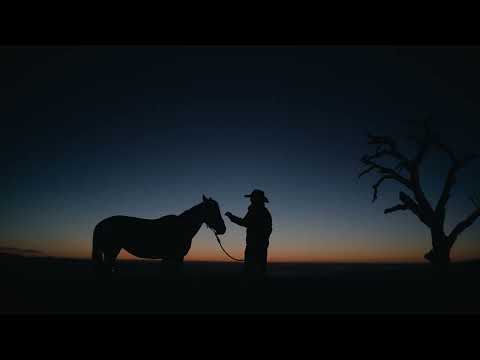 Nikon Zr | The Snowy Mountains