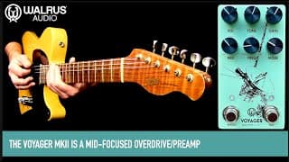 Walrus Audio Voyager Mkii
