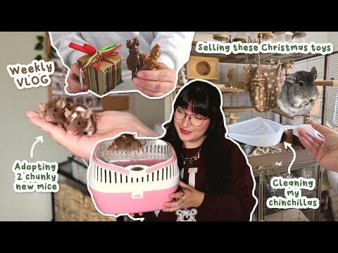 My 2 New Chunky Mice & Cleaning My Chinchillas | Vlog