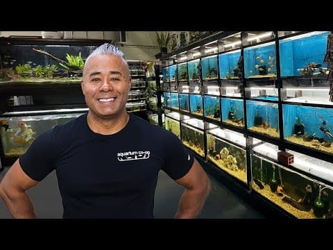 This Amazing Fish Store Started In A Garage [tour]