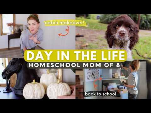 Organize The Homeschool Room & Making Over The Cabin (again 🙄)