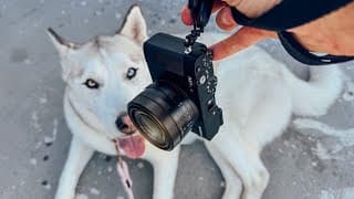 This "everyday" Camera May Be A Mistake !