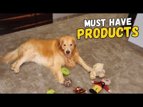 5 Products That Will Make Living With A Golden Retriever Much Easier