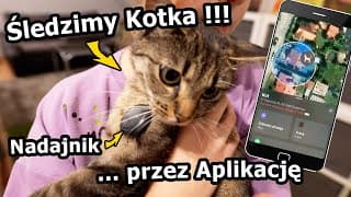 Pakuję Się Do Egiptu! - Kupiliśmy Kotu Nadajnik Śledzący! Jak Działa? *zmywarka, Hub I Lot (#1104)