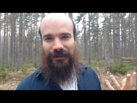 We Are Brainwashed Even By Things We Hate And Resist.