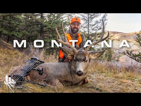 Cliff Bow Shot On Public Land Mule Deer