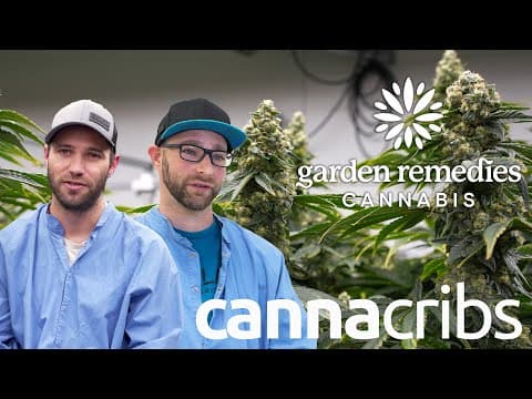 They Traveled The World To Grow The Best Cannabis In Massachusetts | Garden Remedies