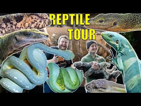 The Craziest Reptile Room Tour Ever With Codyjoe!