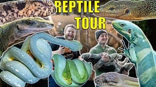 The Craziest Reptile Room Tour Ever With Codyjoe!
