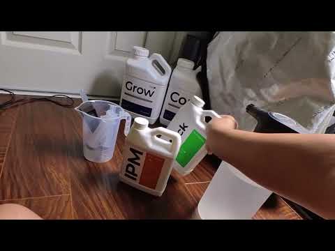 Using Ipm To Get Rid Of Tiny Bugs (thrips) | #shortvlog 5