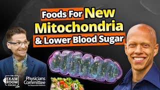 Best Foods For New Mitochondria And Lower Blood Sugar | Cyrus Khambatta, Phd | The Exam Room Podcast