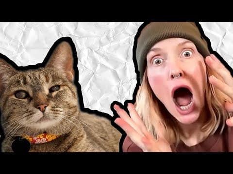 Can A Blind Cat Communicate With Buttons?