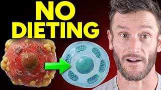 This Ends Mitochondrial Dysfunction (in Days Not Years)