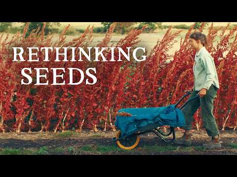 This Seed Company Is Rethinking How Seeds Are Produced