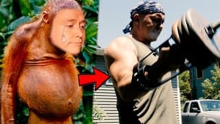 Christian Youtuber Gives Most Compelling Case For Evolution