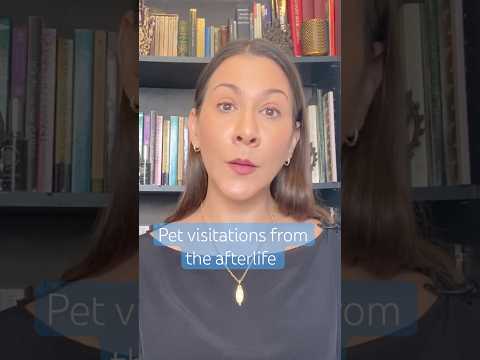 Pet visitations from the afterlife #spirituality ￼
