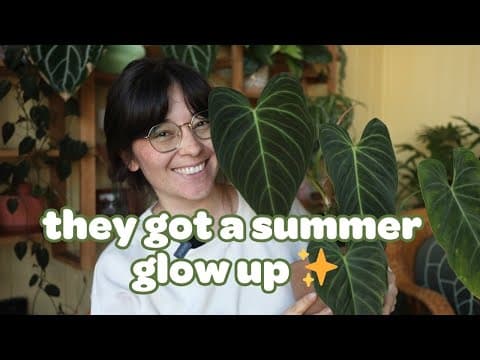 My Summer Glow-up Houseplants 🪴✨