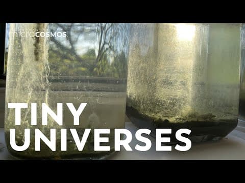 A Collection Of Tiny Universes