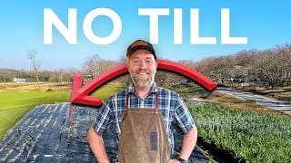 Our No Till Gardening Hack: Holding Down Silage Tarps to Kill Weeds Naturally