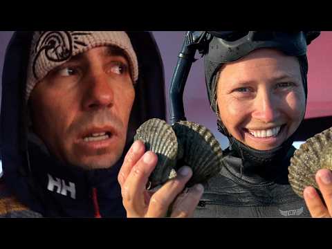 Catamaran Sailing Maine To Nantucket Late Fall Just In Time For Bay Scallop Season