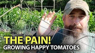 Growing Happy Tomatoes!  - Easy Garden Tips
