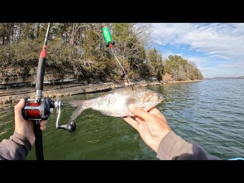 Foolproof Catfishing Method (works Every Time)