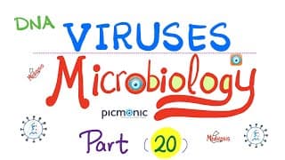 Picmonic Microbiology - Virology - Dna Viruses - Pox, Polyoma, Papillomavirus (hpv), Parvo, Hbv