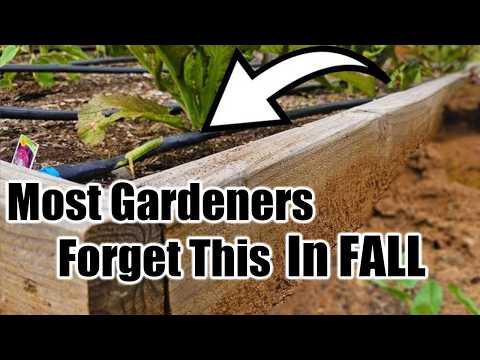 Do This Before Winter Hits Your Raised Beds - Any Climate!