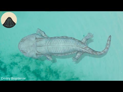 The Only Time Amphibians Conquered The Oceans