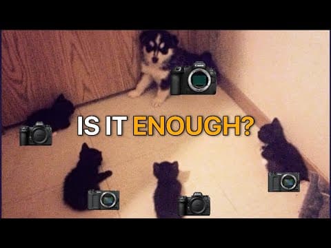 Canon R6 Iii Enough To Stave Off Nikon's Onslaught?