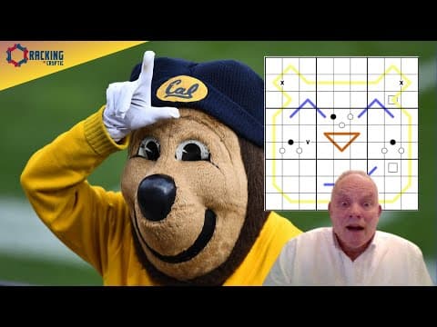 The Puzzle Of The Golden Bear