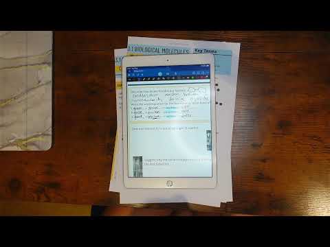 Monomers, Polymers And Carbohydrates Weekly Live - September 04