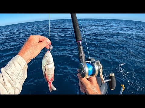 Should Have Done This Sooner! Florida Offshore Fishing Strategy - Pbs!
