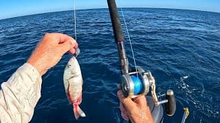 Should Have Done This Sooner! Florida Offshore Fishing Strategy - Pbs!