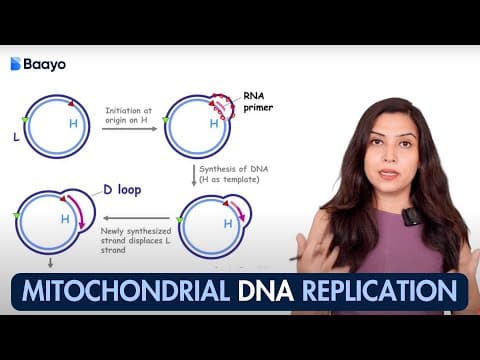 Mitochondrial Dna Replication Made Easy | D-loop | Molecular Biology Explained By Aarti Ma'am