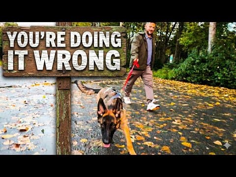 Leash Pulling, What You’ve Been Told Is Backwards