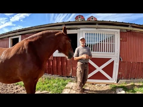 A Fancy New Door For The Horse Barn!! #839
