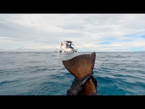 Spearfishing From 70ft To "the Kiddie Pool" | Boys Day | Ccc