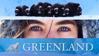 I Went To The Arctic To Photograph Polar Bears & Wildlife