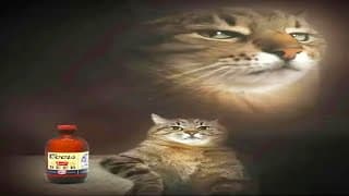 Produce A Song To This Image