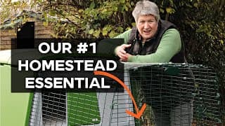 I Can't Believe We've Done This Again!