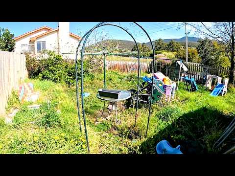 27 Hours Of Yard Work For A Single Mom (a Life-changing Surprise)