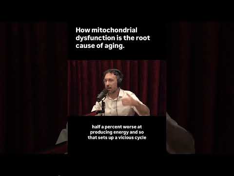 Mitochondrial Dysfunction Is The Root Cause Of Aging.