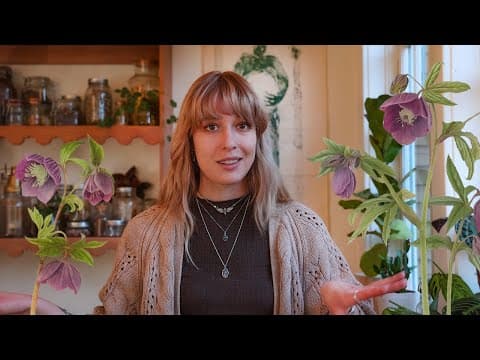 A Cozy Chat On Quiet Witchcraft And Low Energy Magick During The Last Months Of Winter