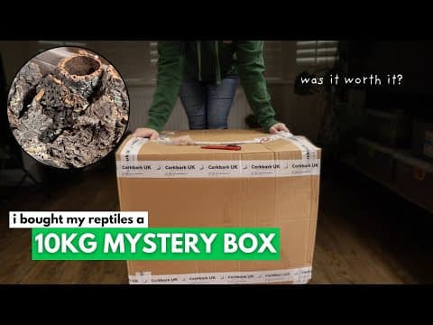 I Spent £300 On My Reptiles | What Did I Get?