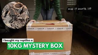 I Spent £300 On My Reptiles | What Did I Get?